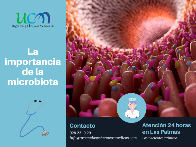 importancia-de-la-microbiota